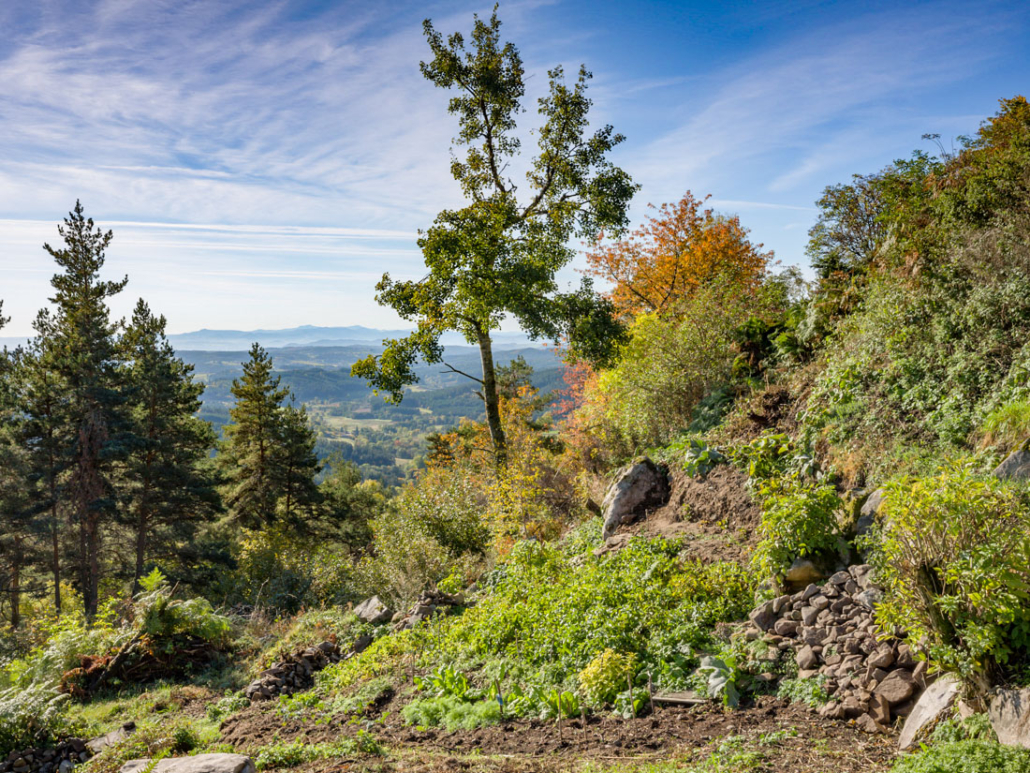 Le Mézenc